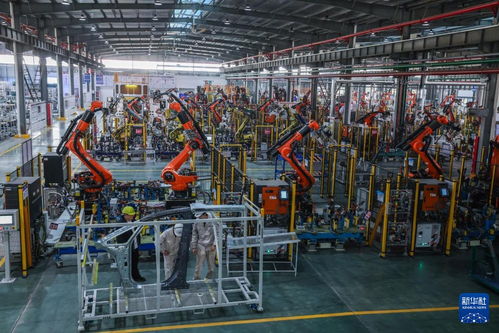 浙江金華 以技術(shù)為引擎，加速打造新能源汽車配套產(chǎn)業(yè)集群新高地